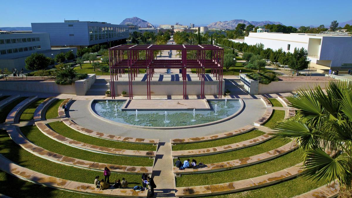 Universidad de Alicante